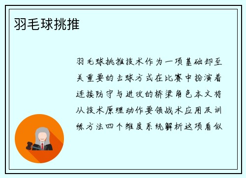 羽毛球挑推